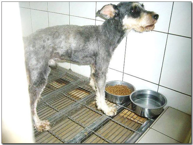 「拒絕新貸款、信用卡：千萬不可大意」